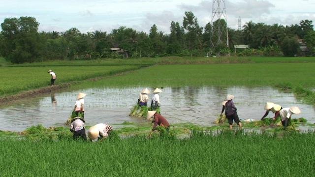 Urlaub in Vietnam 2007